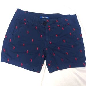 Embroidered Sea Horse Tropical Beachy Navy Chino Shorts 6" Inseam